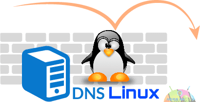 dns linu by androidaba