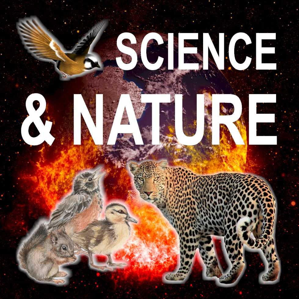 science and nature logo by aba