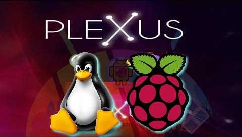 Come avviare i flussi Acestream su Linux e Raspberry [KODI]