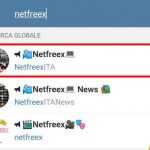 netf1