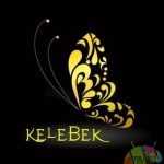 kelebek icon