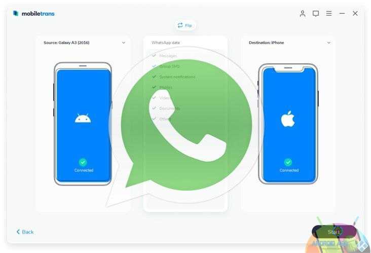 mobiletrans whatsapp transfer