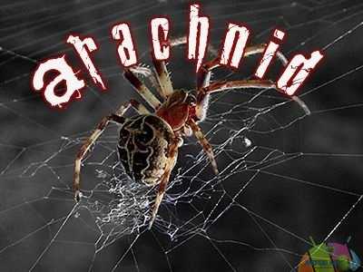 arachnid icon