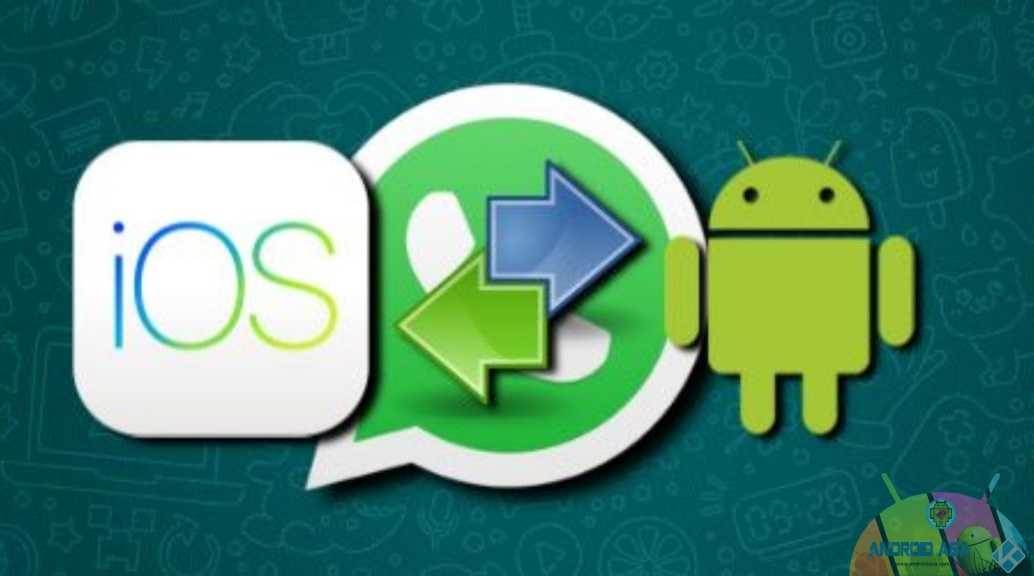 whatsapp chat transfer android ios