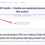Vidnoz Chat PDF 2